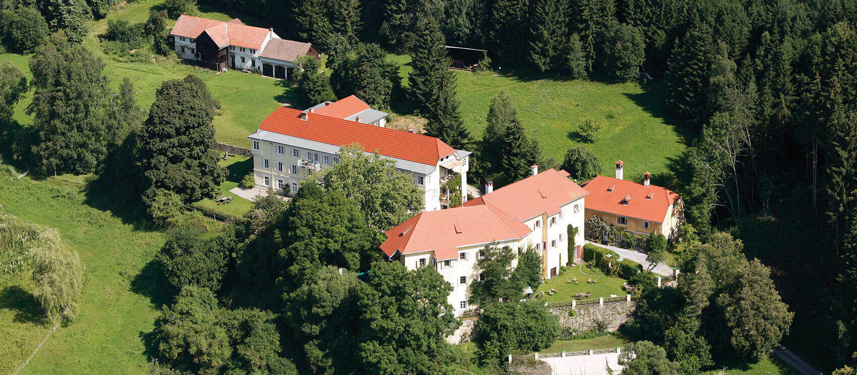 Blick auf das Pichlschloss mit den Schlossgebäuden und rundherum Wiesen und Wald