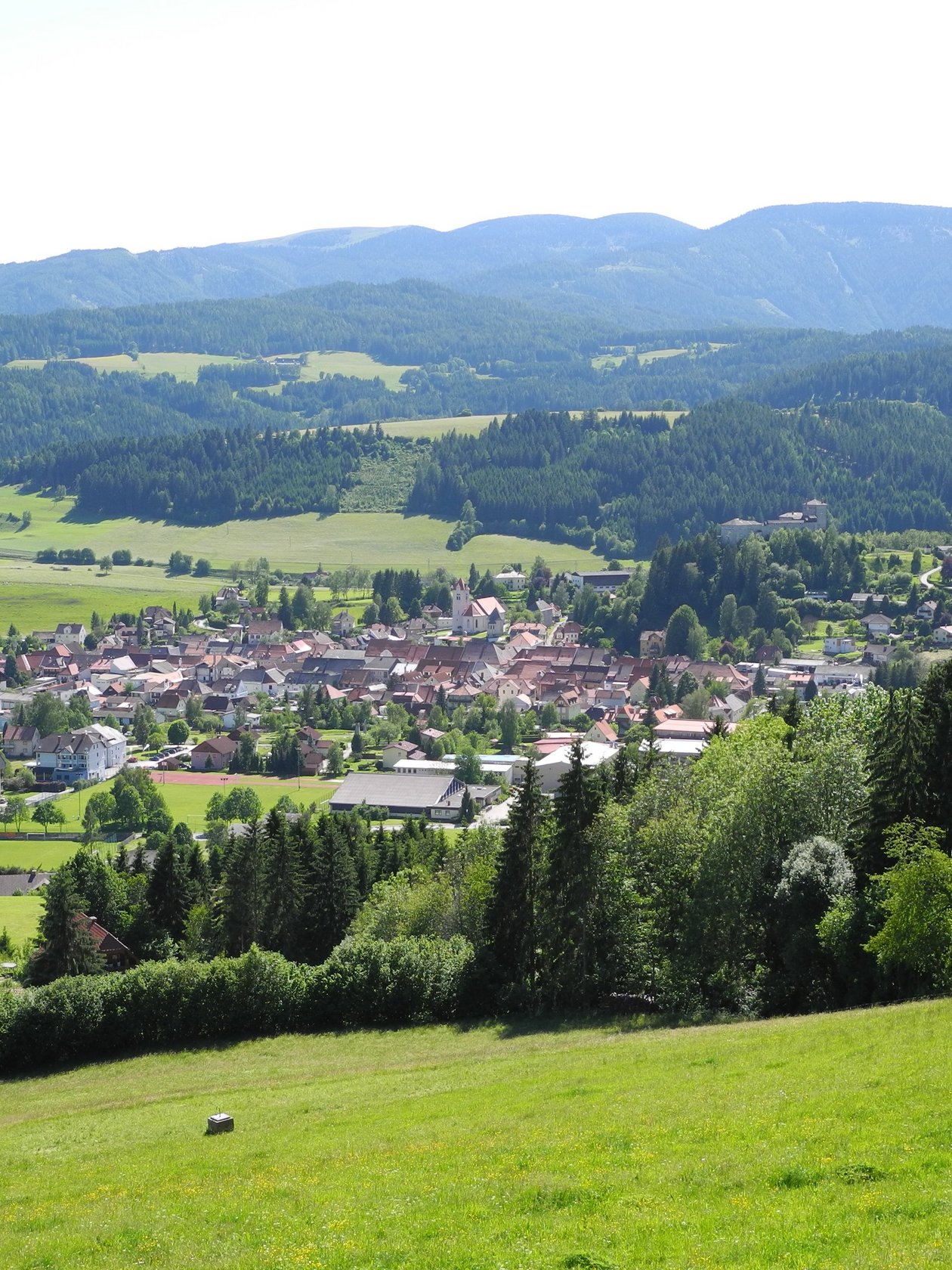 Landschaft mit einem Dorf, umgeben von Bergen und grüner Natur im Hintergrund, in der Steiermark.