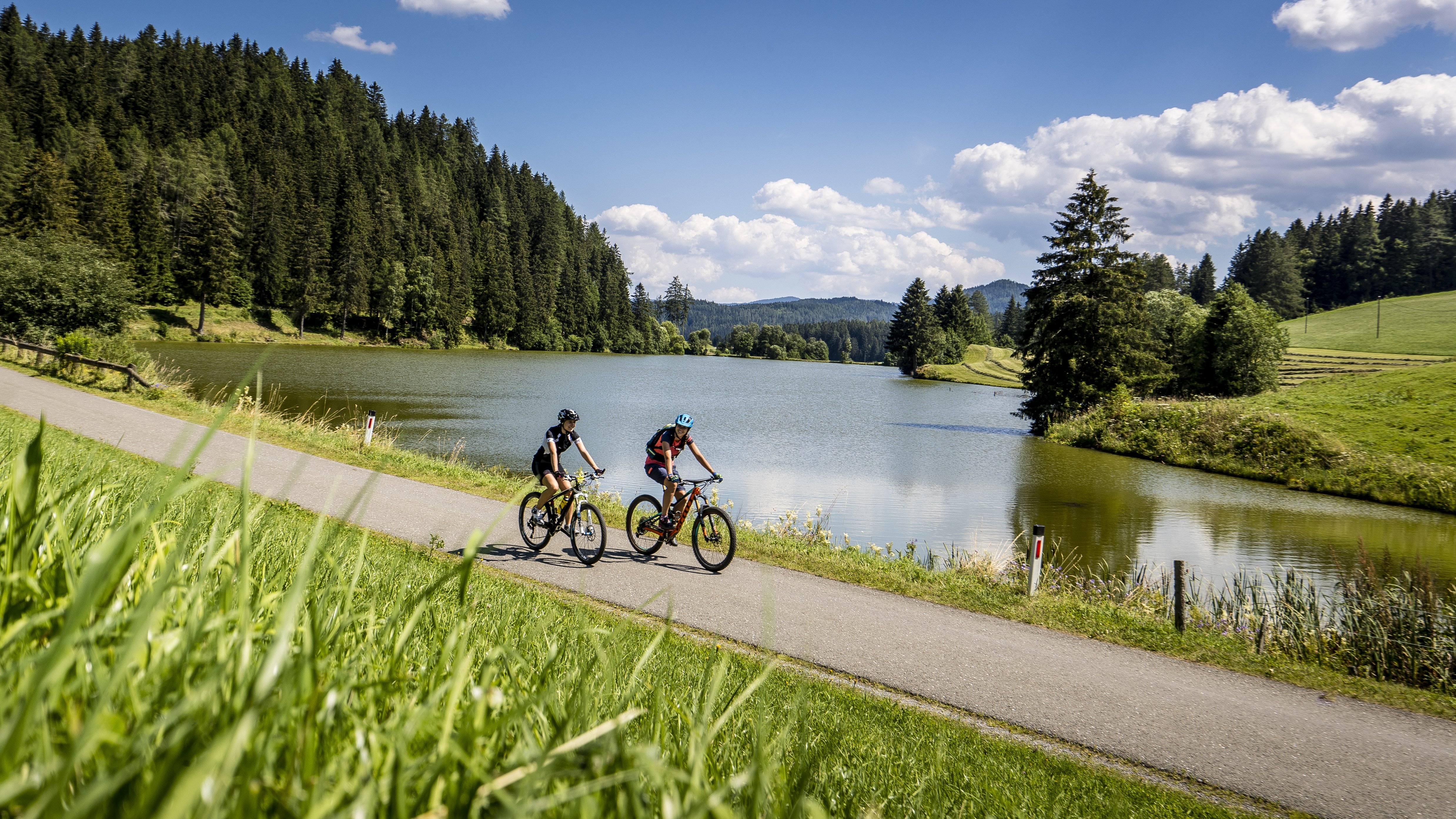 Zwei Radfahrer auf einem Weg neben einem See, umgeben von Bäumen und Grünflächen.