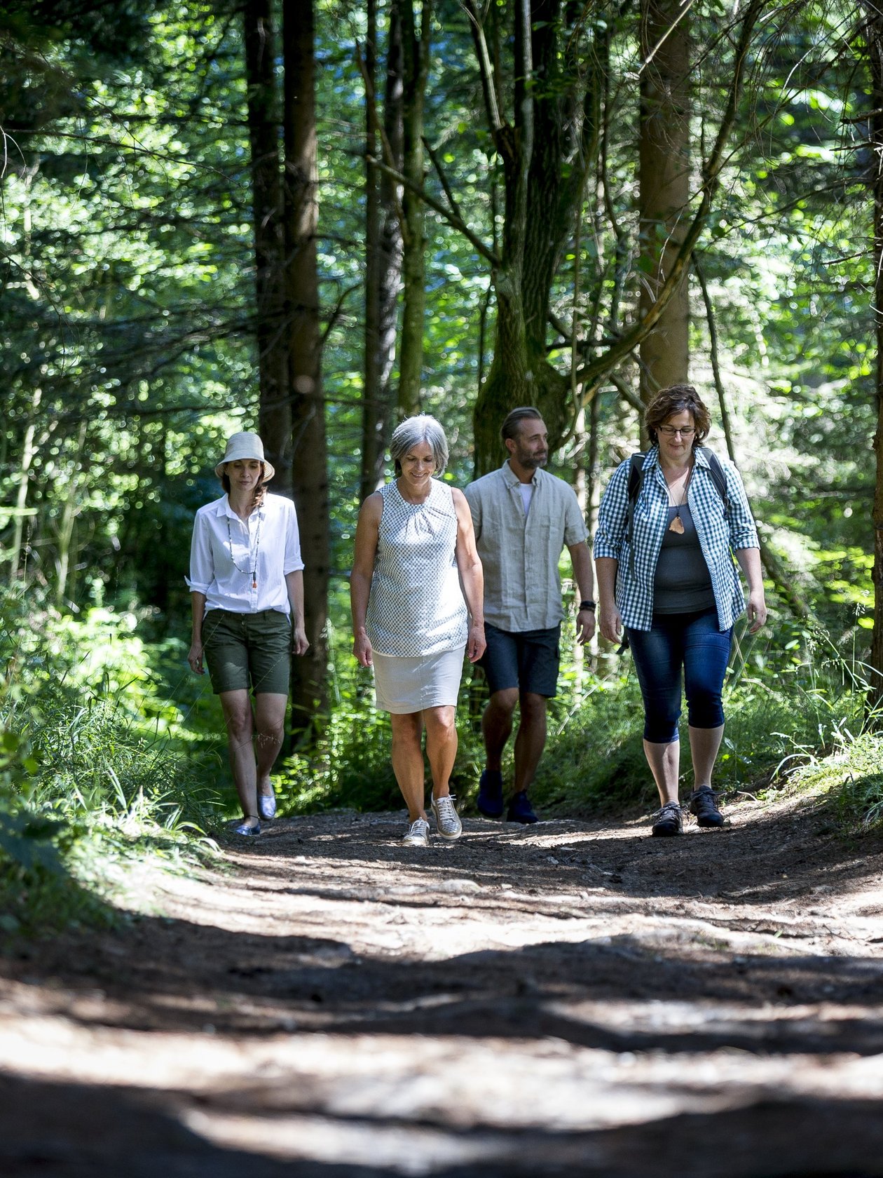 Wanderung durch den Wald Vier Personen gehen auf einem Waldweg umgeben von Bäumen und Grünflächen in der Natur.