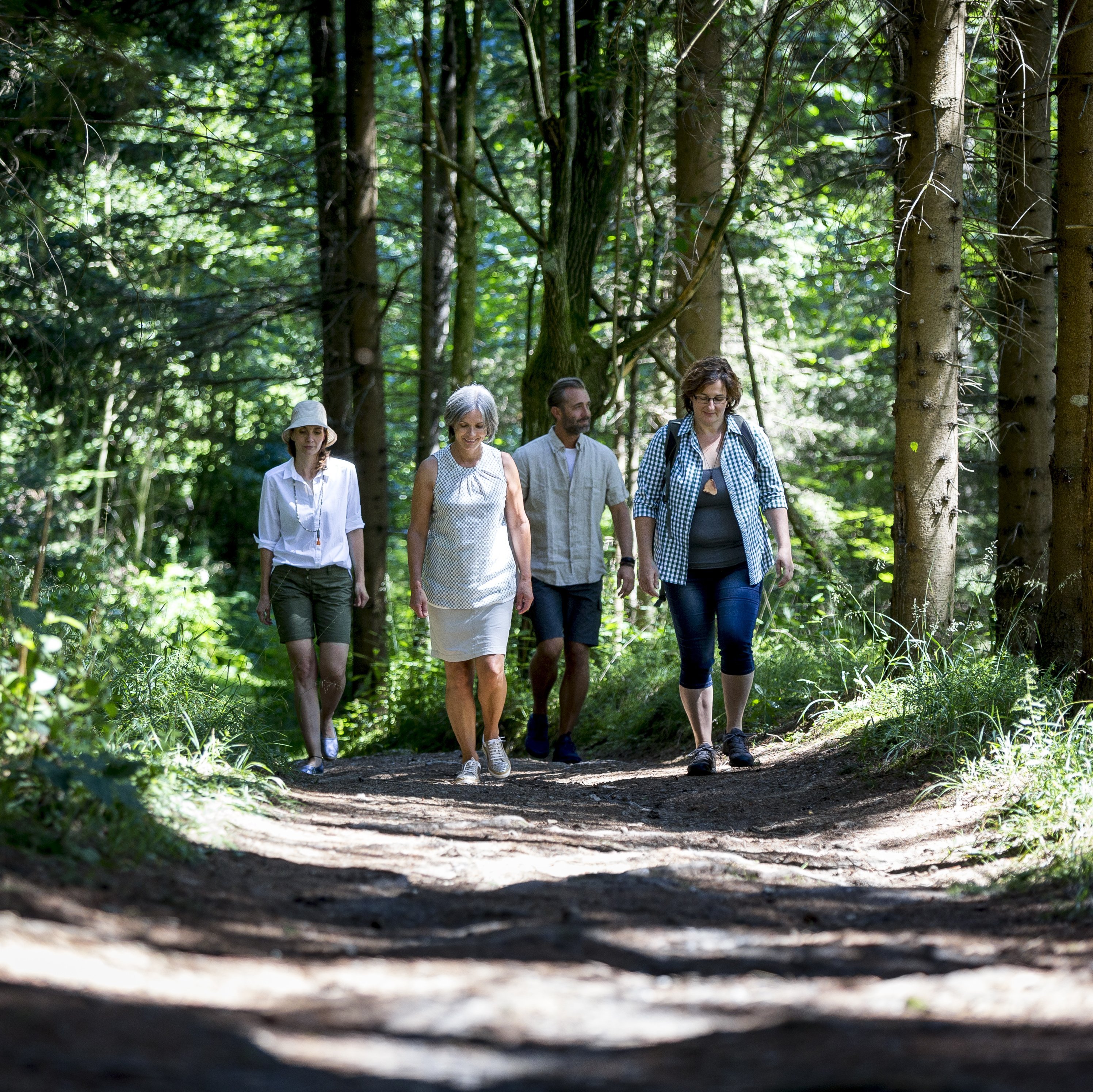 Vier Personen gehen auf einem Waldweg umgeben von Bäumen und Grünflächen in der Natur.