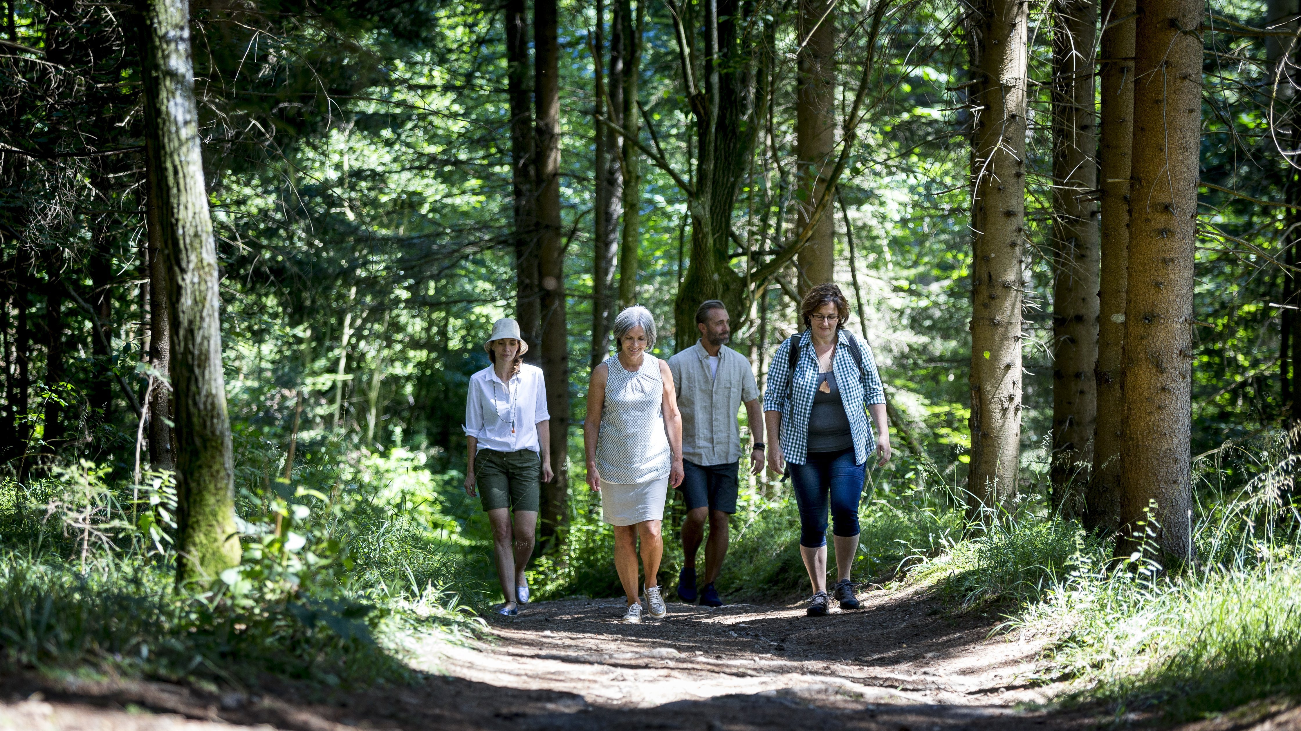 Vier Personen gehen auf einem Waldweg umgeben von Bäumen und Grünflächen in der Natur.