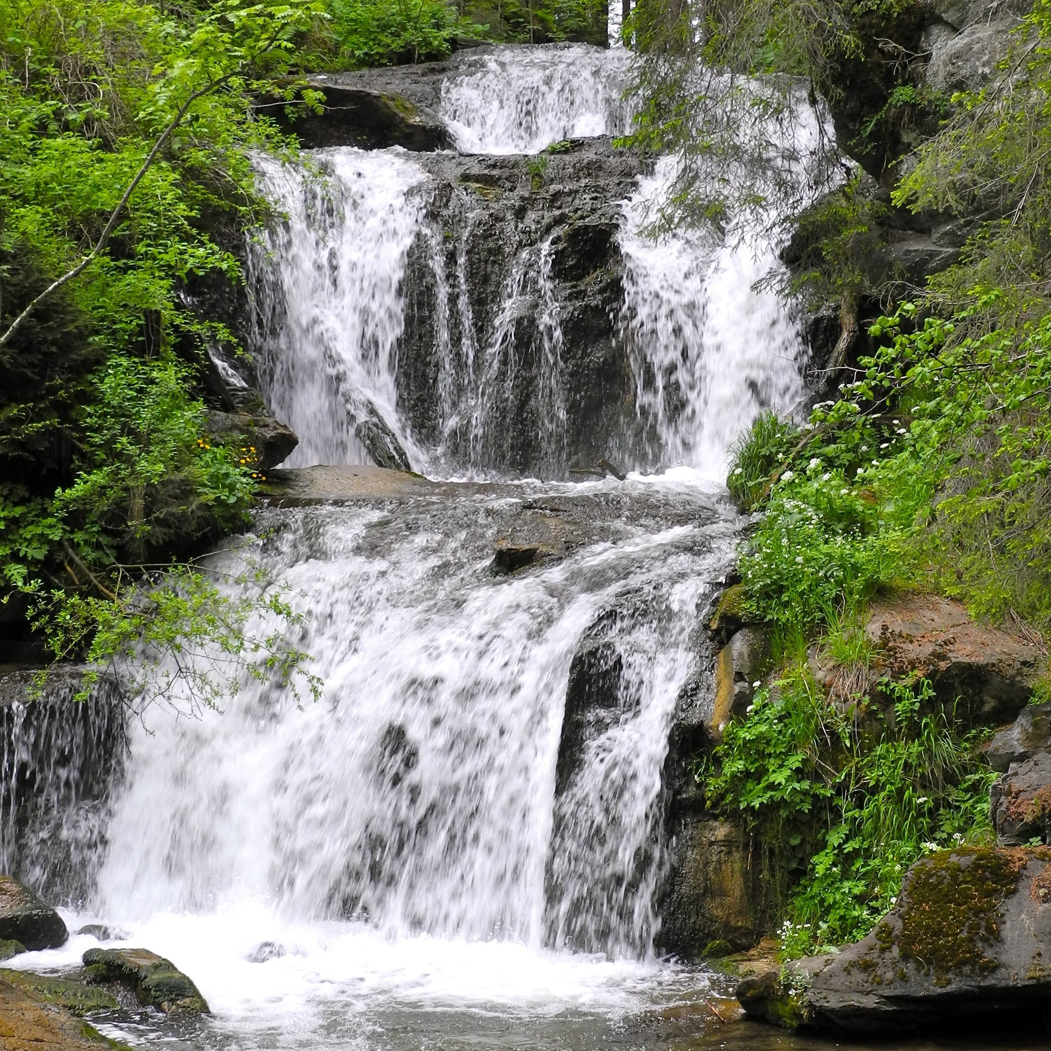 Wasserfall stürzt zwischen Felsen in einen klaren Bach, umgeben von dichtem Wald.