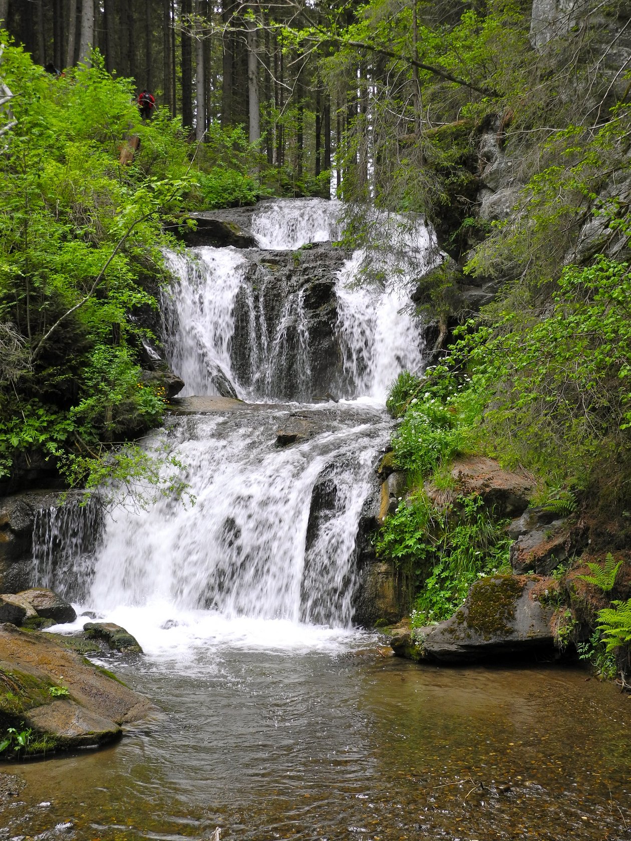 Wasserfall stürzt zwischen Felsen in einen klaren Bach, umgeben von dichtem Wald.