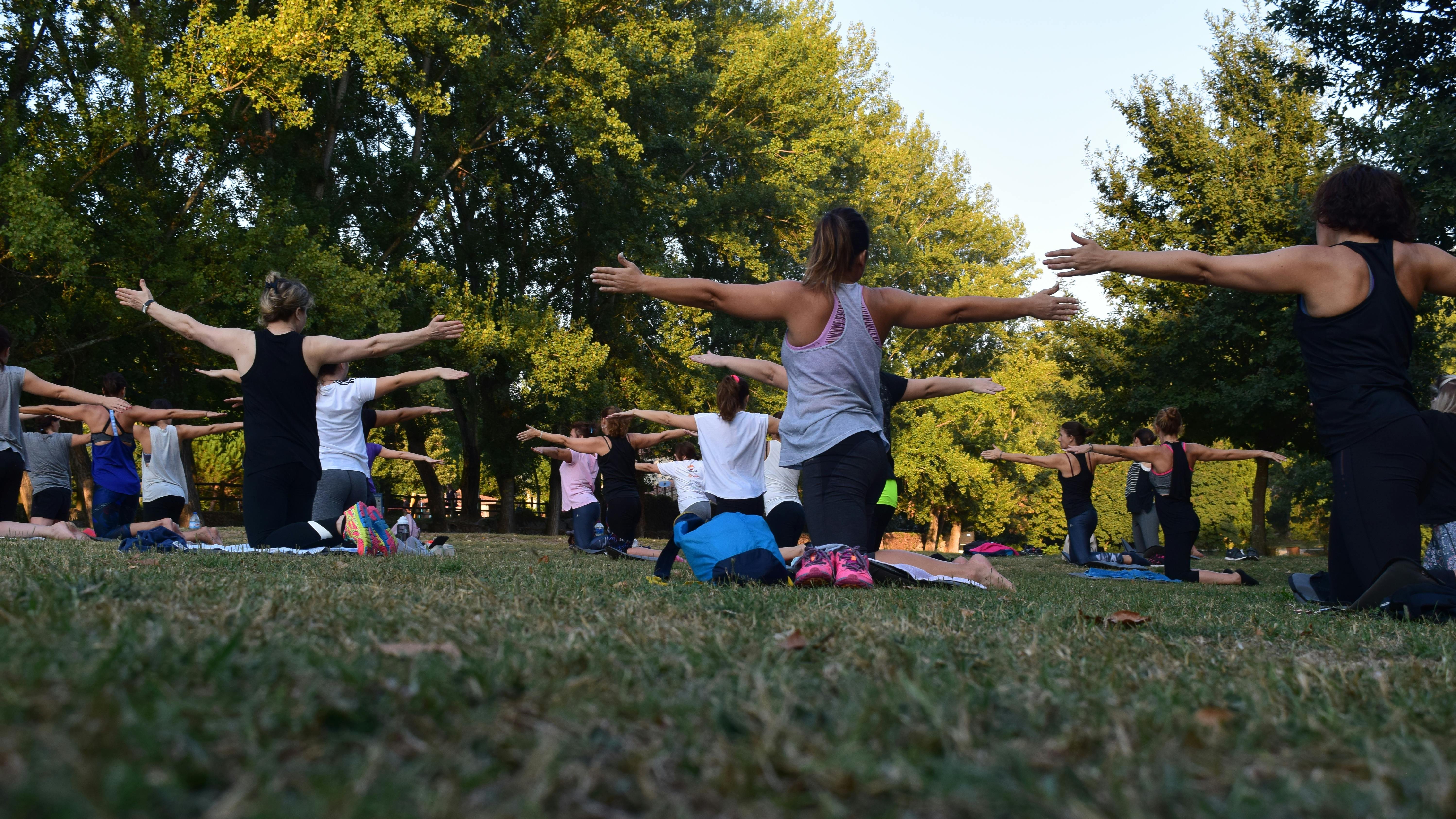 Yoga im Freien für Körper und Geist Gruppe von Personen in verschiedenen Yoga-Posen auf Matten im Freien während einer Fitnessklasse