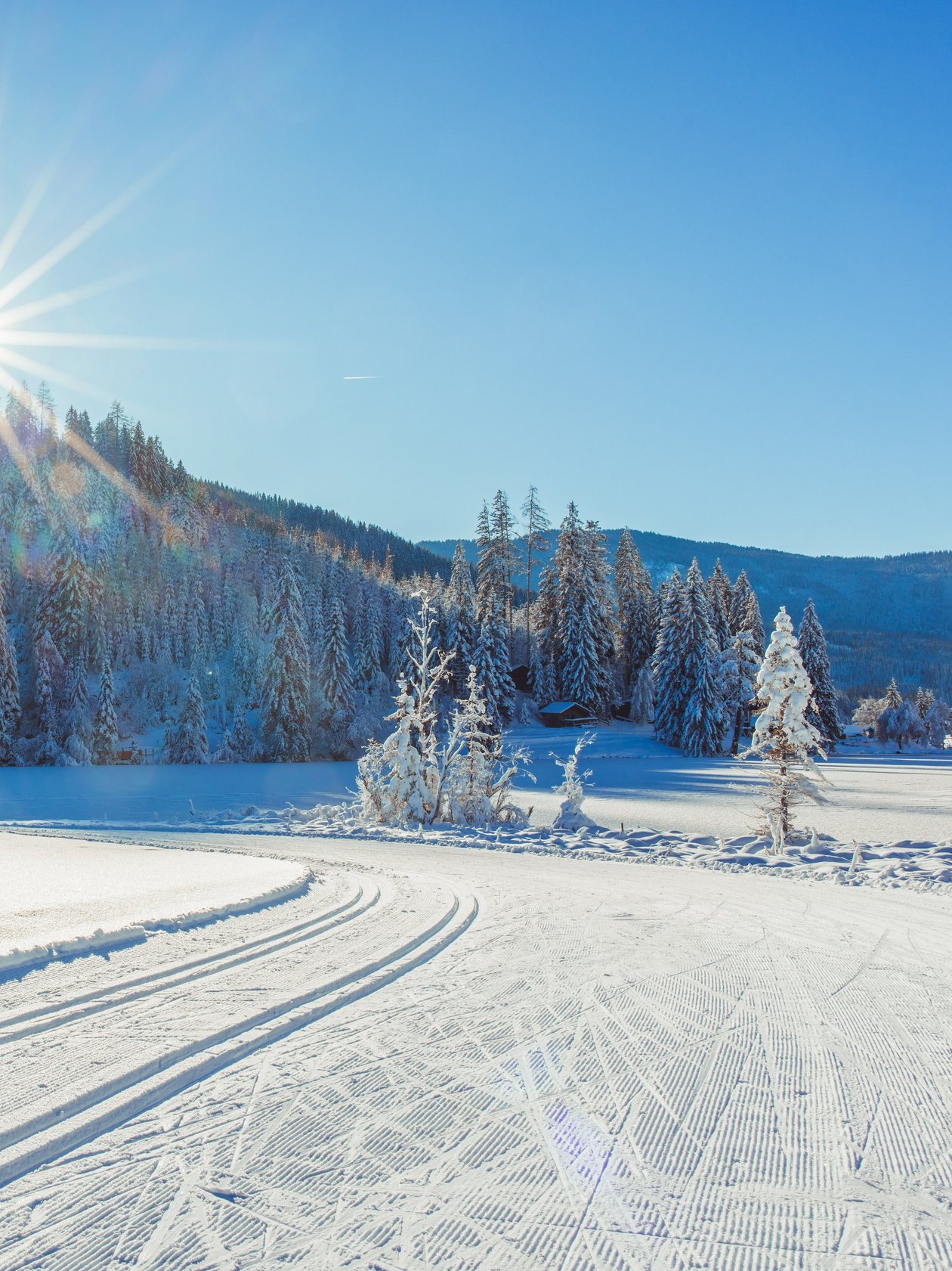 Schneebedeckte Berge und Kiefern im sonnigen Winterlandschaft mit Langlaufloipe.