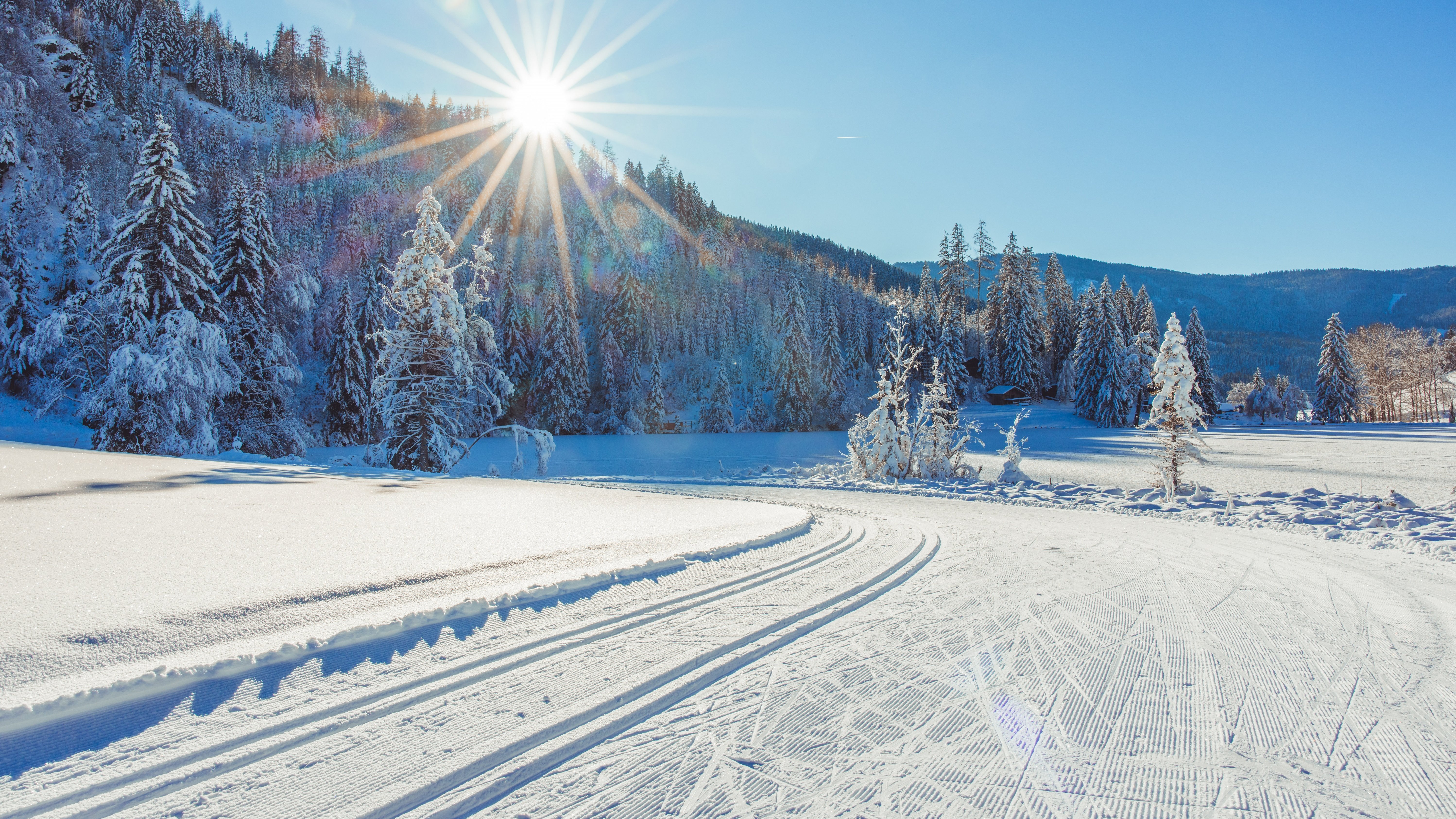 Winterwunderland in den Bergen Schneebedeckte Berge und Kiefern im sonnigen Winterlandschaft mit Langlaufloipe.
