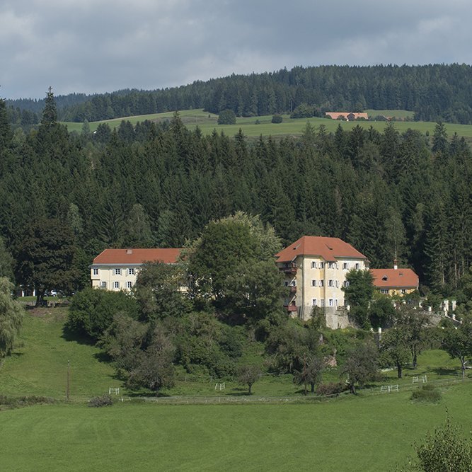 Panorama Ansicht vom Pichlschloss Außenansicht vom Landsitz Hotel Pichlschloss umgeben von Wald und Wiesen.
