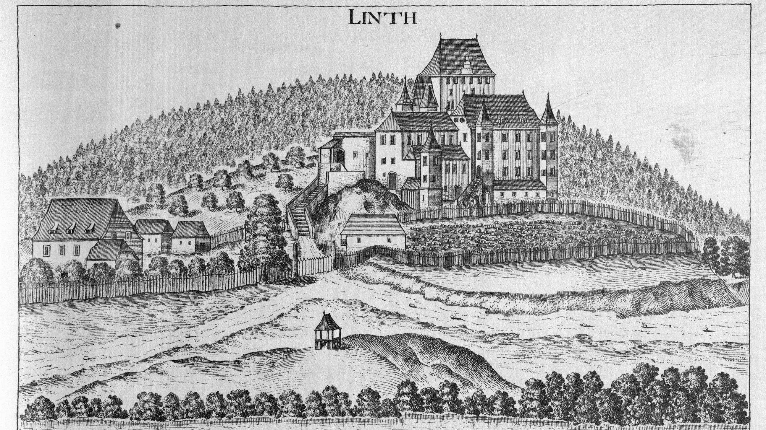 Historische Architektur im Steirischen Landschaftsbild Blick auf eine mittelalterliche Burg auf einem Hügel umgeben von Bäumen und einem Fluss, mit einem Dorf im Vordergrund.