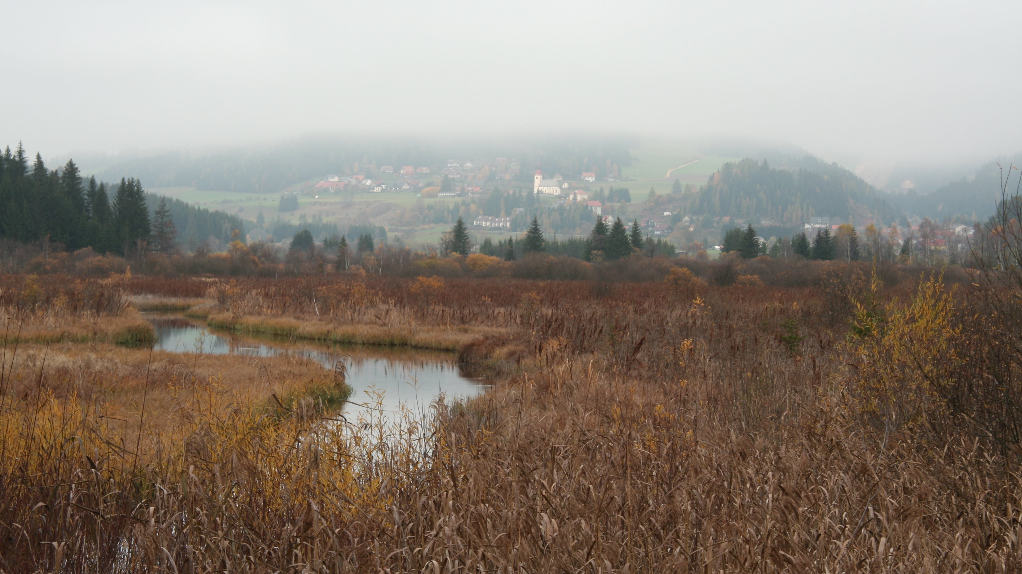 Herbstnebel über dem Moor Foggy landscape with a village in the background and wetland in the foreground during autumn
