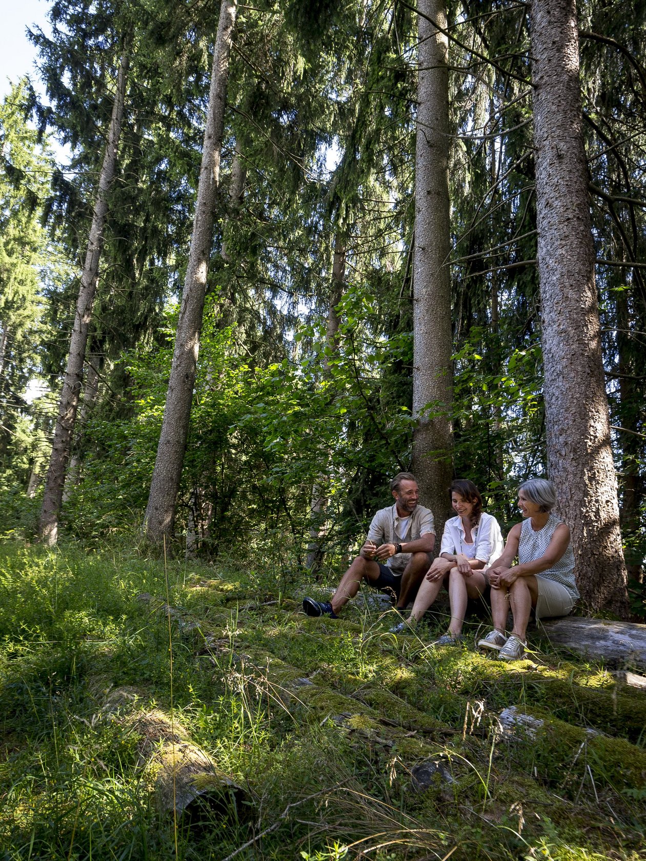 Drei Personen sitzen auf einem Baumstamm in einem bewaldeten Gebiet mit hohen Bäumen.