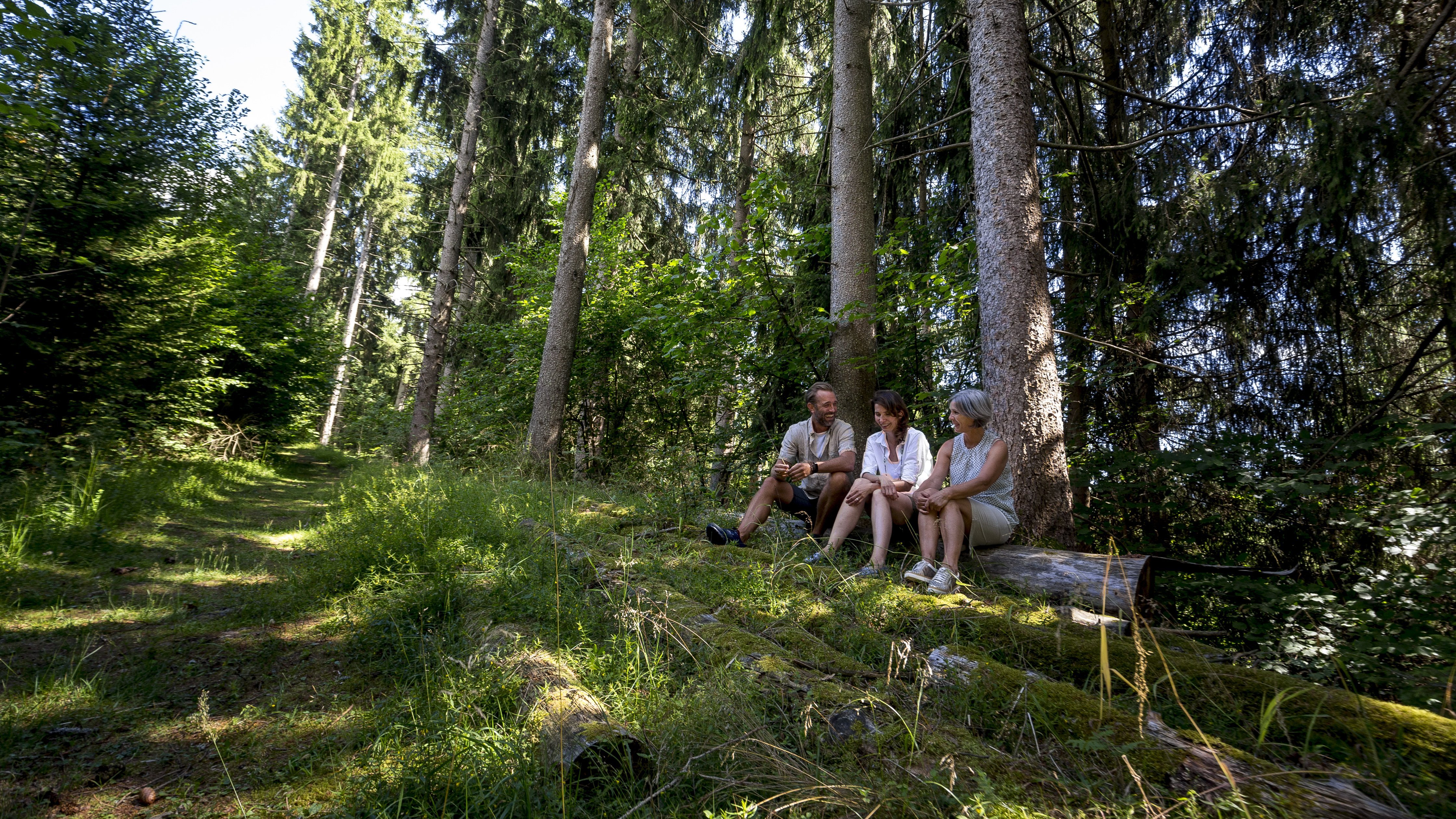 Familienzeit im Wald Drei Personen sitzen auf einem Baumstamm in einem bewaldeten Gebiet mit hohen Bäumen.
