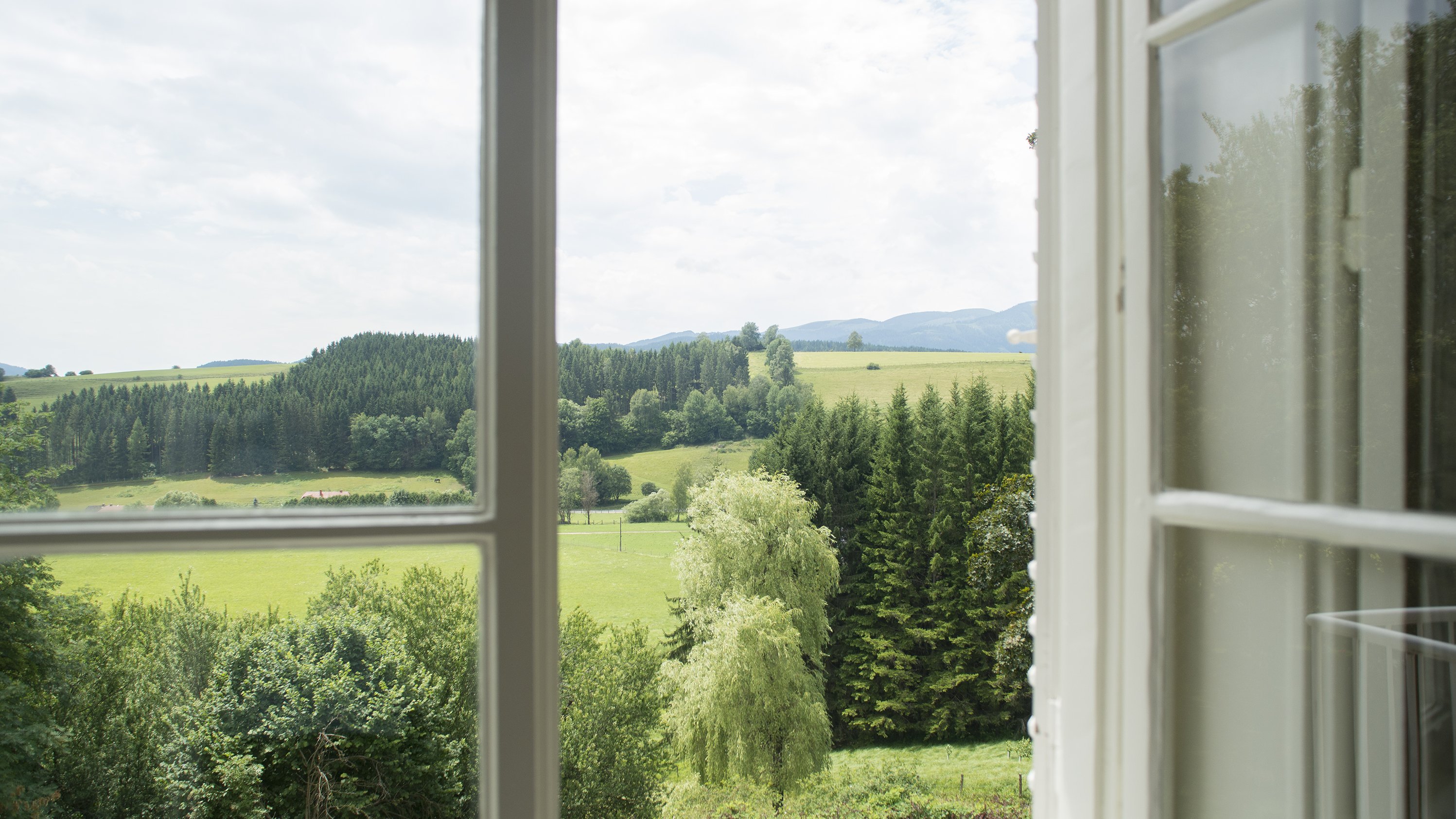 Atemberaubender Ausblick auf die Natur Blick aus einem Fenster auf eine grüne Landschaft mit sanften Hügeln und Bäumen.