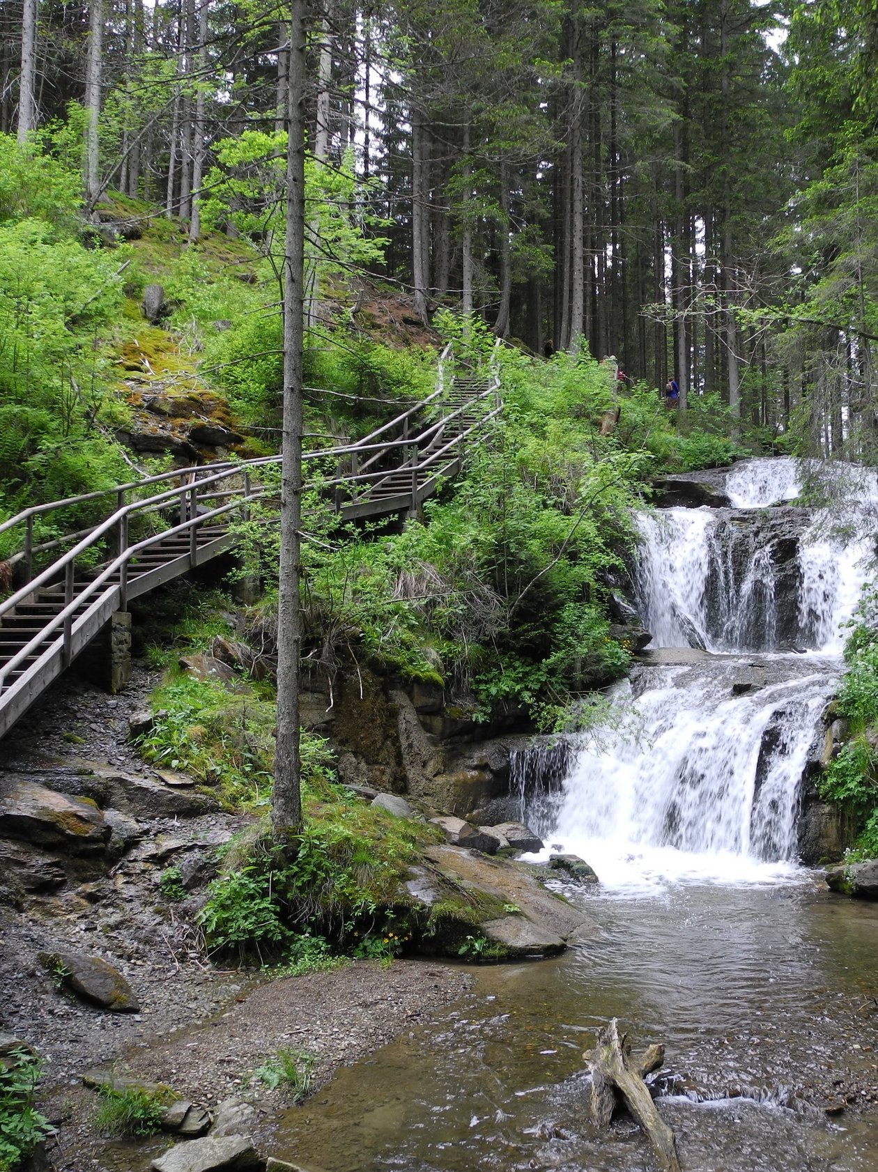 Wasserfall im Wald Klarer Wasserfall fließt über Felsen in eine umgebende grüne Waldlandschaft mit Holzweg.