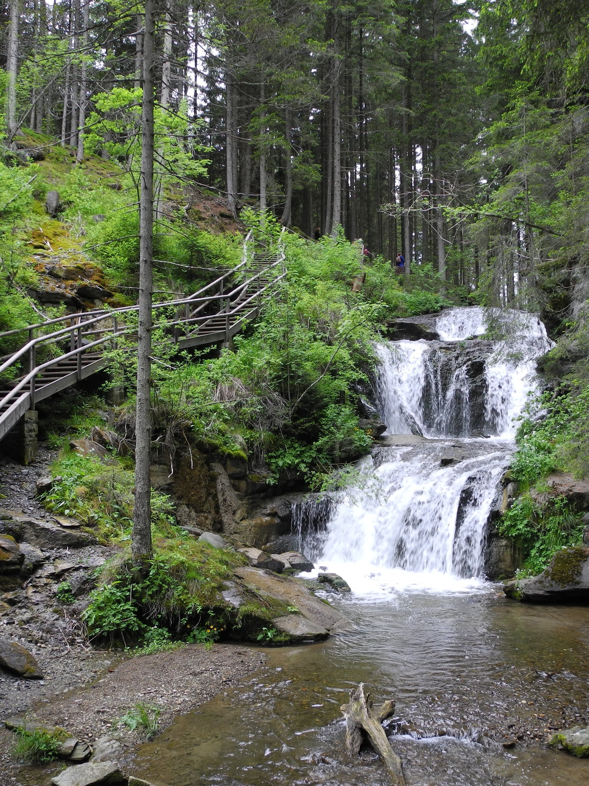 Klarer Wasserfall fließt über Felsen in eine umgebende grüne Waldlandschaft mit Holzweg.