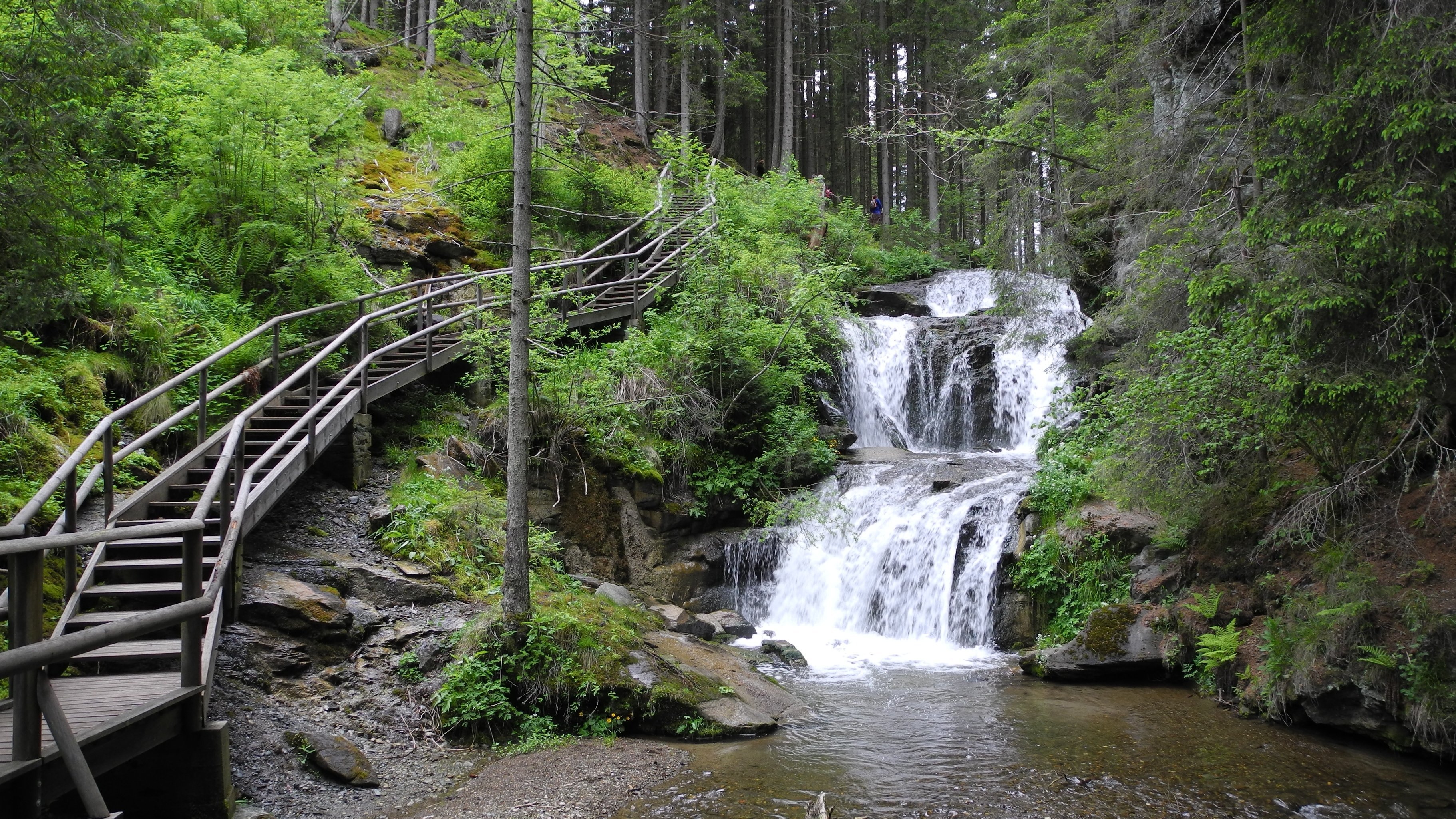 Klarer Wasserfall fließt über Felsen in eine umgebende grüne Waldlandschaft mit Holzweg.