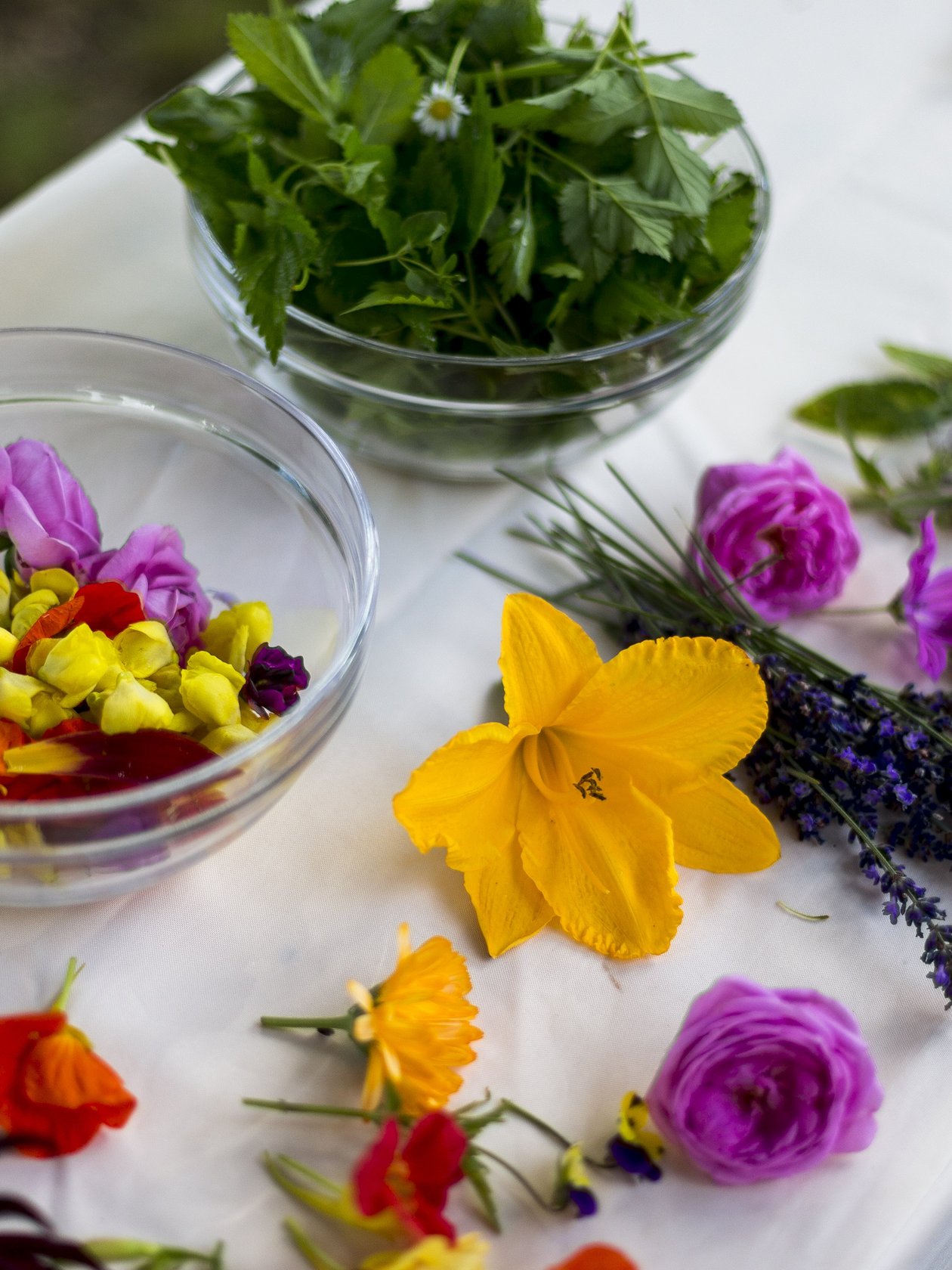 Kräuter und essbare Blumen in voller Pracht Bunte essbare Blumen und frische Kräuter auf einem Tisch arrangiert für kulinarische Zwecke