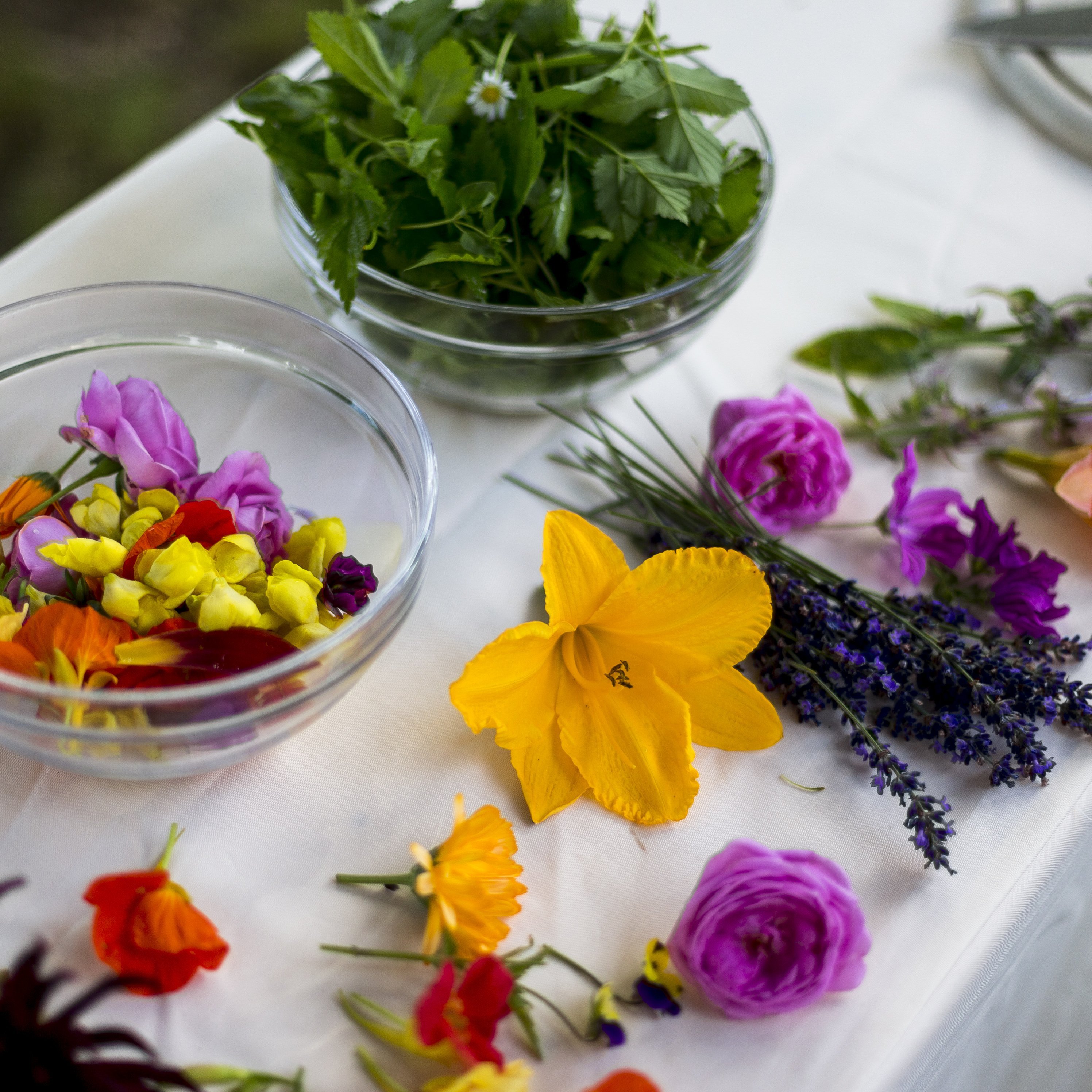 Kräuter und essbare Blumen in voller Pracht Bunte essbare Blumen und frische Kräuter auf einem Tisch arrangiert für kulinarische Zwecke