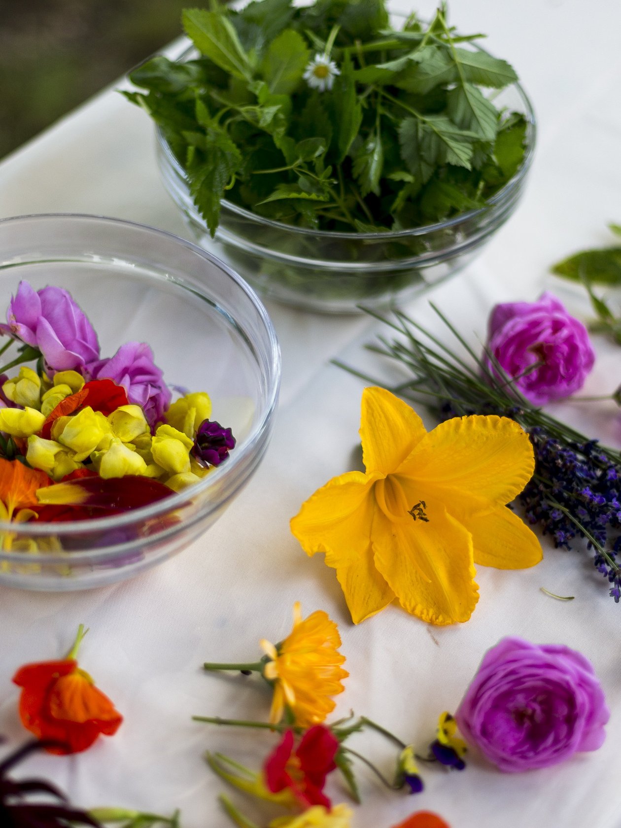 Bunte essbare Blumen und frische Kräuter auf einem Tisch arrangiert für kulinarische Zwecke