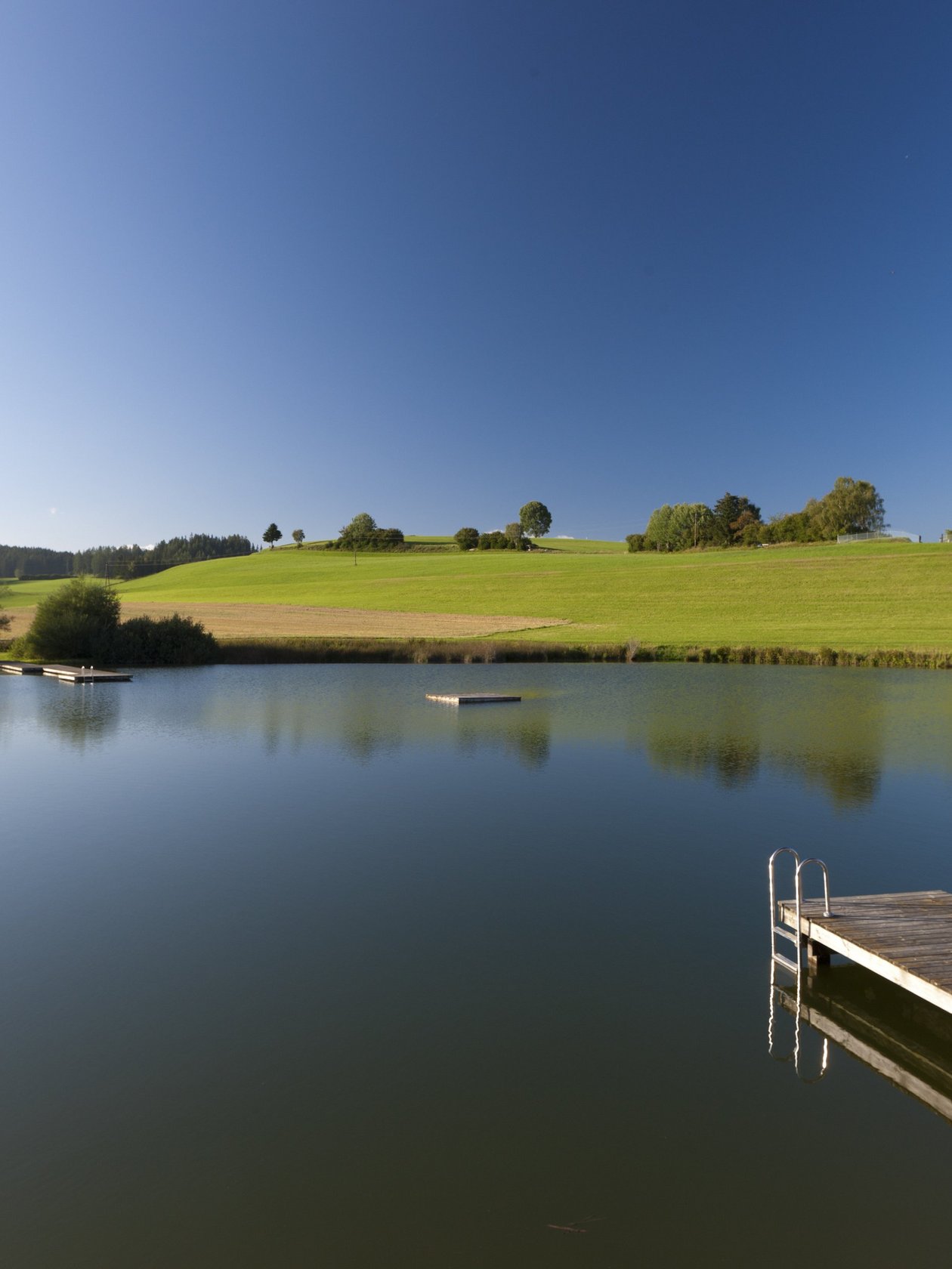 Ein ruhiger See umgeben von grünen Feldern und Bäumen mit einem Holzsteg ins Wasser