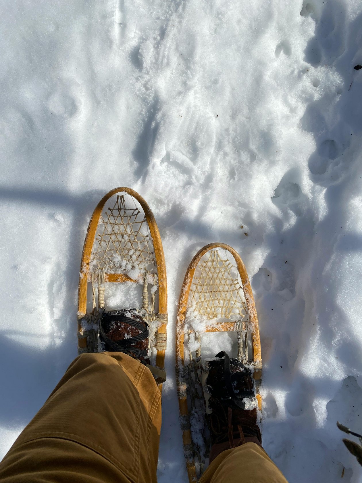 Schneeschuhwandern im Winter Person steht mit Schneeschuhen auf einer verschneiten Fläche im Freien. Schnee umgibt die Füße.