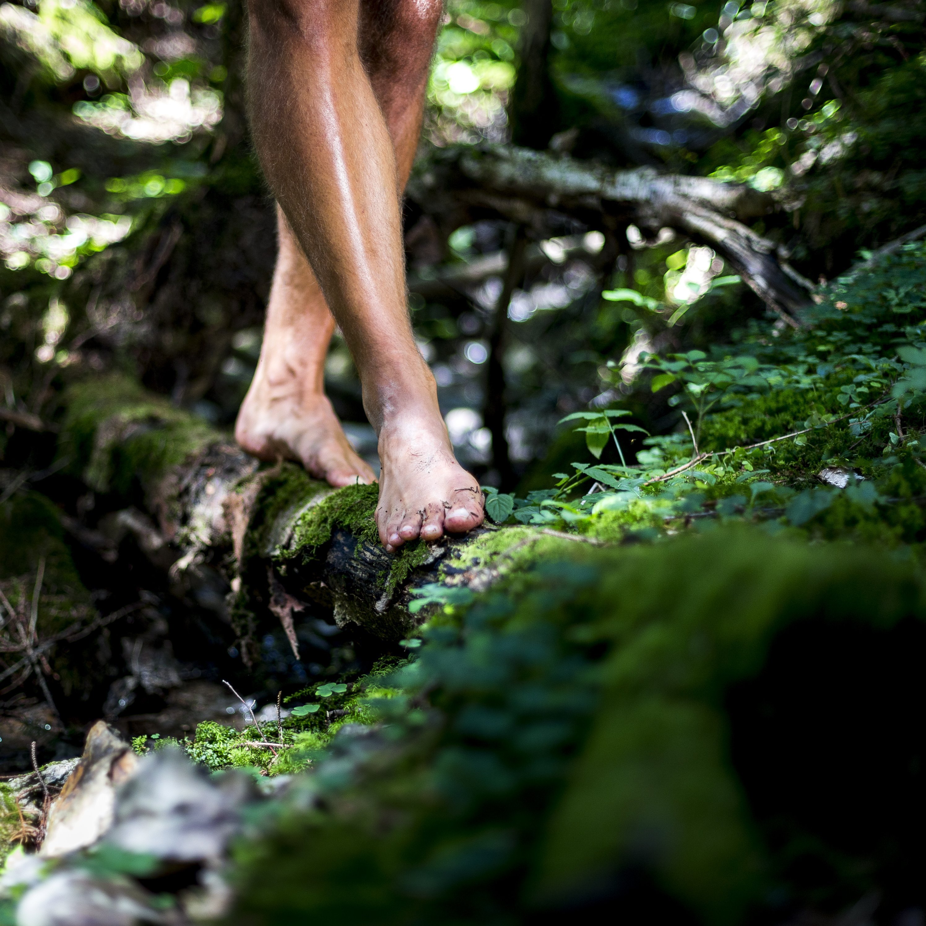 Barfuß durch die Natur Nahaufnahme von barfuß gehenden Füßen auf einem moosbedeckten Baumstamm im Wald.