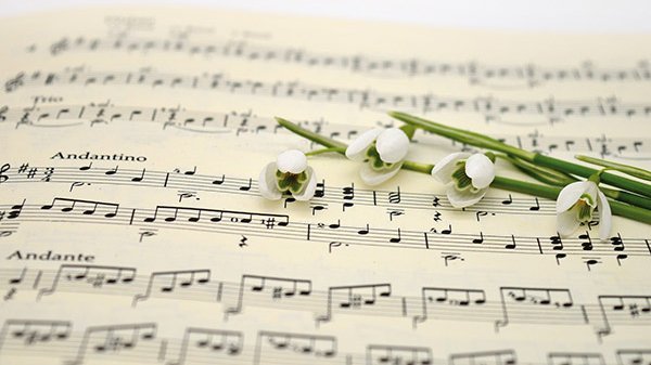 Ein Notenblatt mit musikalischer Notation und Schneeglöckchen darauf arrangiert.