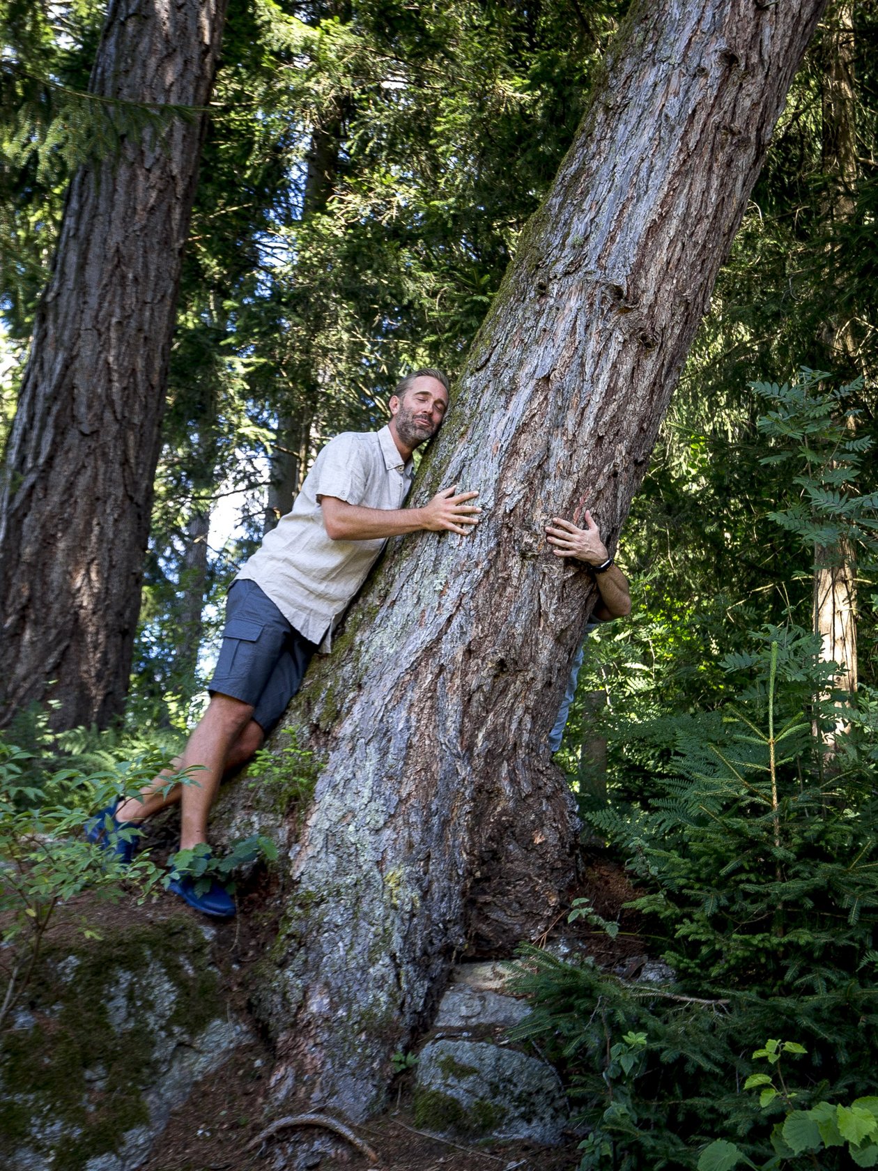 Natur erleben im Wald Eine Person umarmt einen großen Baum in einem bewaldeten Gebiet, umgeben von grüner Vegetation.