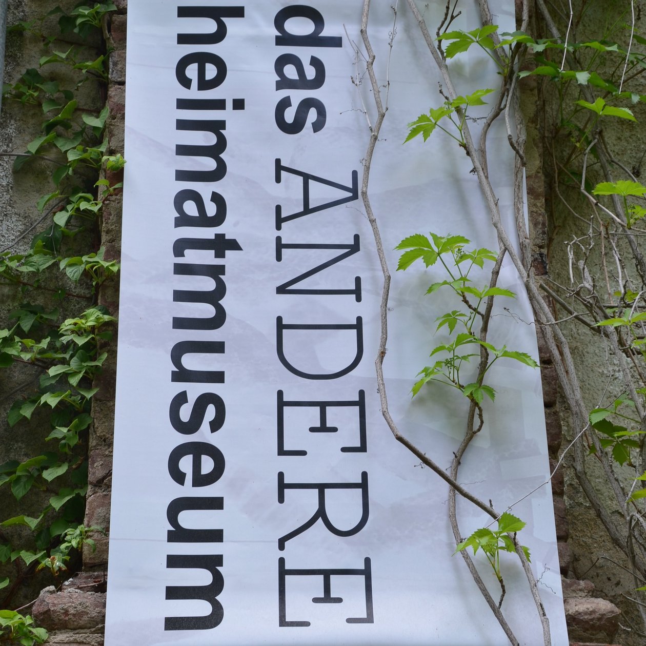 Das ANDERE Heimatmuseum entdecken Großes Banner mit der Aufschrift 'das ANDERE heimatmuseum' an einer bewachsenen Wand.