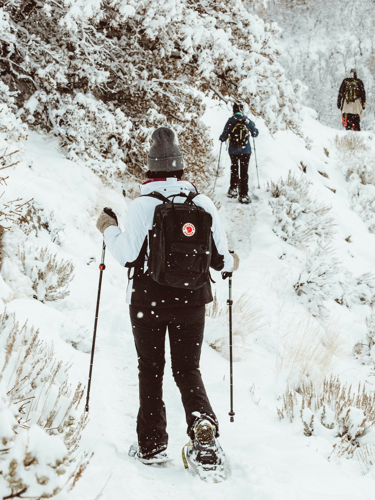 Schneeschuhabenteuer in der winterlichen Landschaft Gruppe von Menschen beim Schneeschuhwandern auf einem verschneiten Weg umgeben von winterlicher Natur
