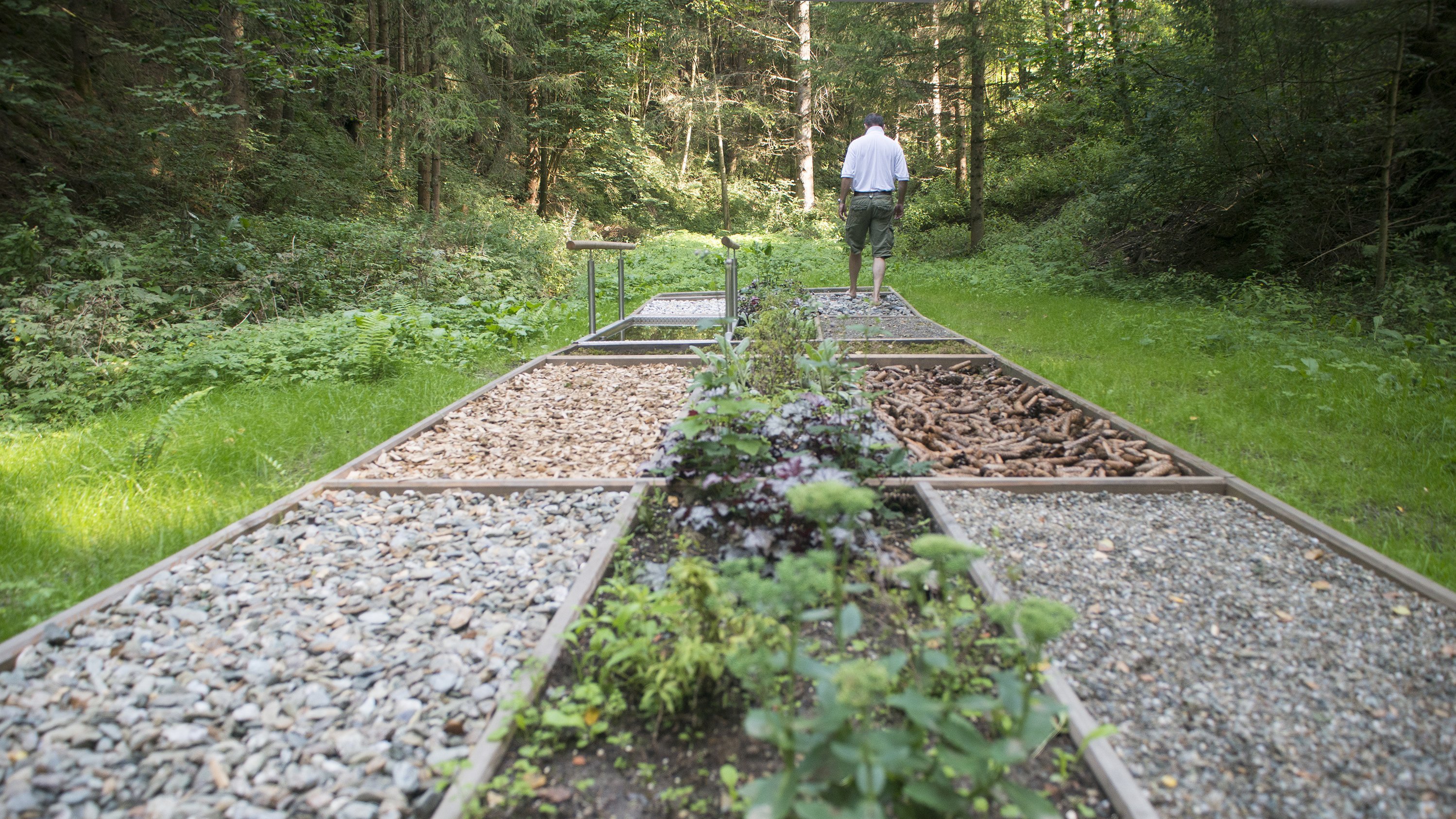 Person geht auf einem Wellnesspfad durch den Wald, umgeben von Naturmaterialien und Pflanzen