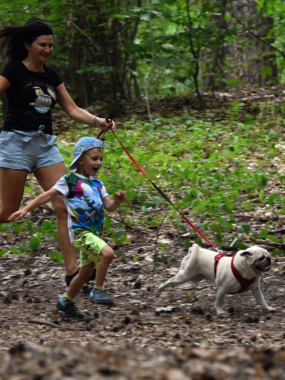 Eine Frau und ein Kind laufen fröhlich mit einem Hund in einem Waldgebiet unterwegs.