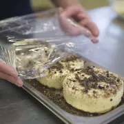 Käse - frisch aus der Kühlung geholt.
