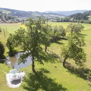 Ausblick vom Schlosszimmer - Blick auf die Bäume und den Fischteich.