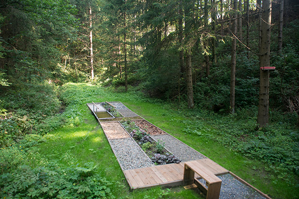 Fuehlparcours im Pichlschlosswald