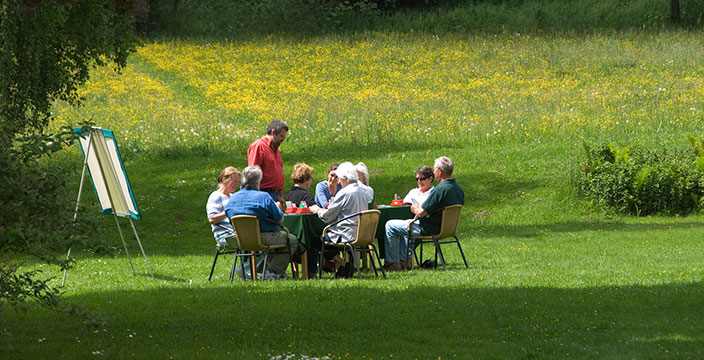 Eine Gruppe spielt im Garten Bridge